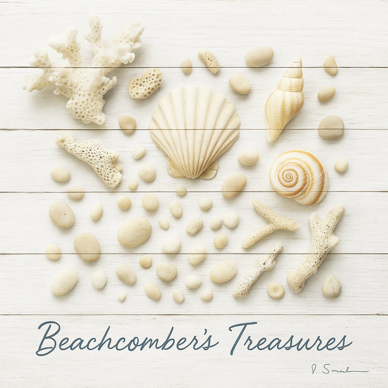 Beachcomber's Treasures - Coquillage côtier et toile de corail, art mural, H 31 po x l 31 po