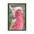Black Framed is unavailable