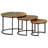 Turi Frame 3 Nesting Tables Coffee Table with Storage-1220972962