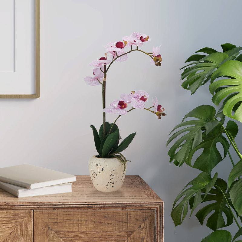 22 in. Realistic Artificial Orchid with Decorative Pot
