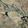 Premium Machine Washable Cerrito AMF558 Beige Rug