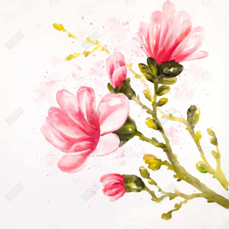 Floral – Polyester Shower Curtain, Dye Sublimation Print, 71" W × 74" L