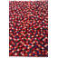 Tapis rouge Neela