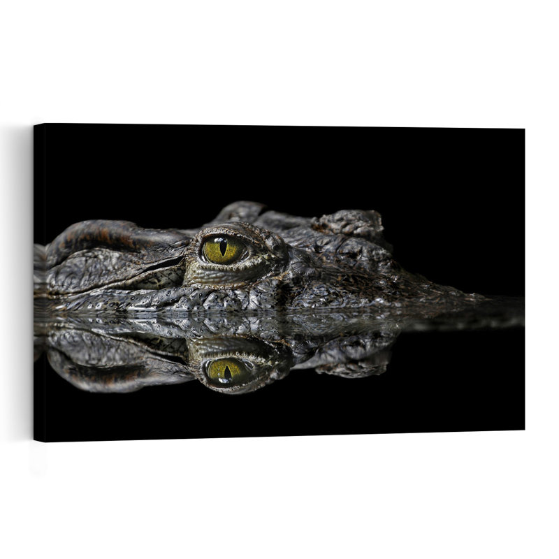 Crocodile'S Dark Gaze Contemporary Alligator Crocodile Nature Wildlife Wall Art Print 1 Piece Wrapped Canvas Wall Art
