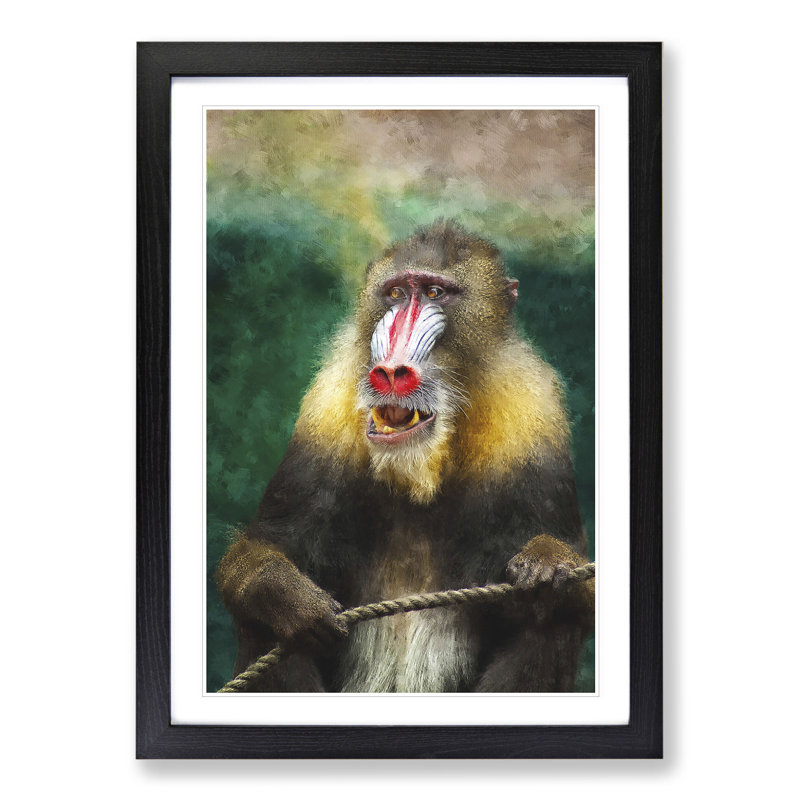 Mandrill Baboon Monkey - Picture Frame Painting, 65cm H x 48cm W x 2cm D, Black Framed