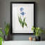 Peinture botanique bleue vive II-789340630-789340624