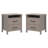 Chabot Modern 2-Drawer Nightstand Set Of 2-694072528