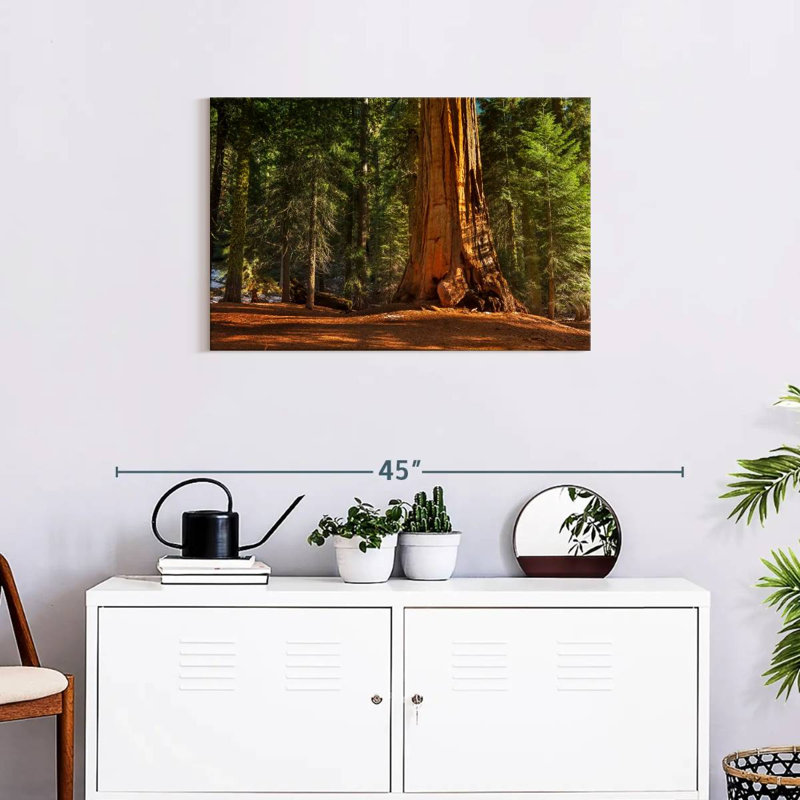 Alvord général Grant Grove arbres, H 20 po x l 30 po