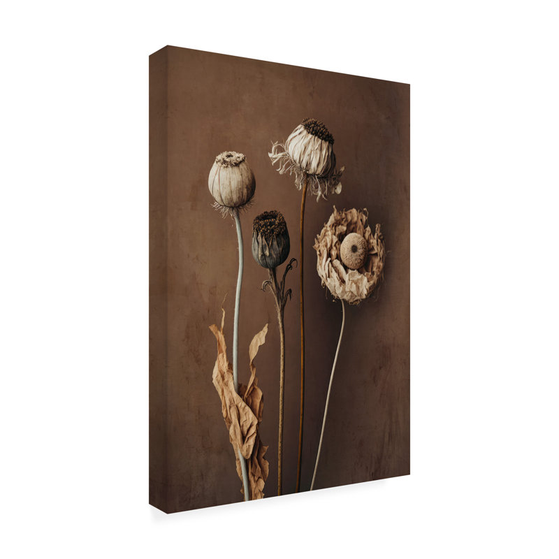 Art sur toile Treechild Three Dry Flowers