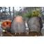 Porte-votive de table Evelynn-1977316004
