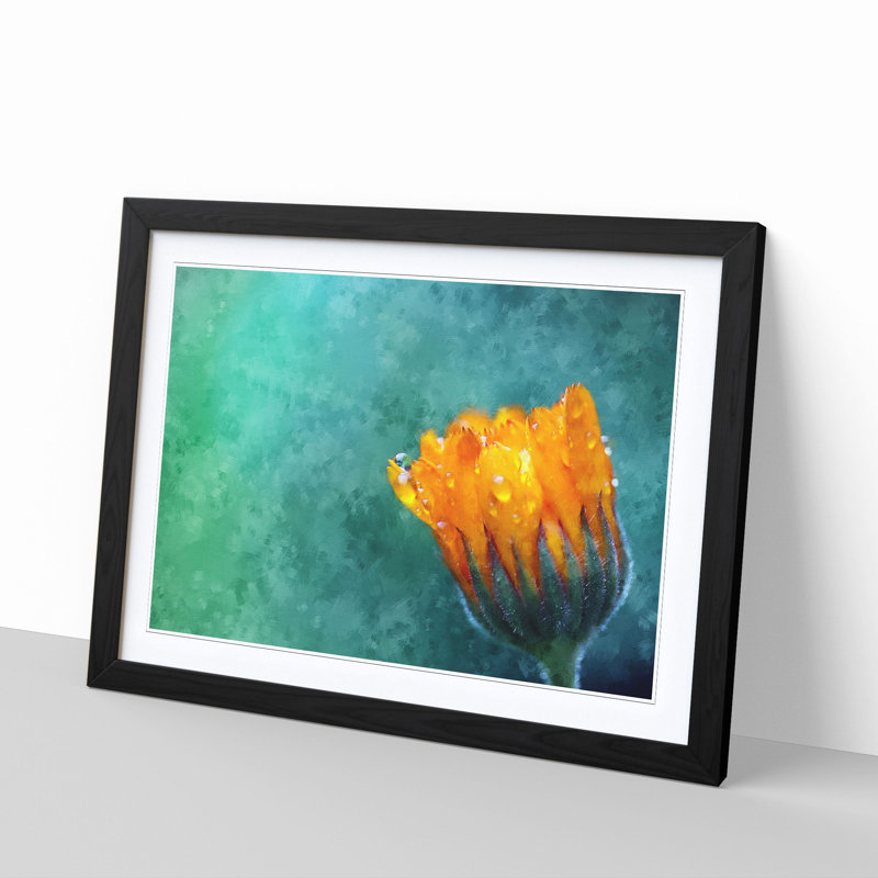 Blooming Orange Magnolia Flower Painting 1 Piece Single Picture Frame Wall Art on MDF, 33cm H x 45cm W x 2cm D, Black