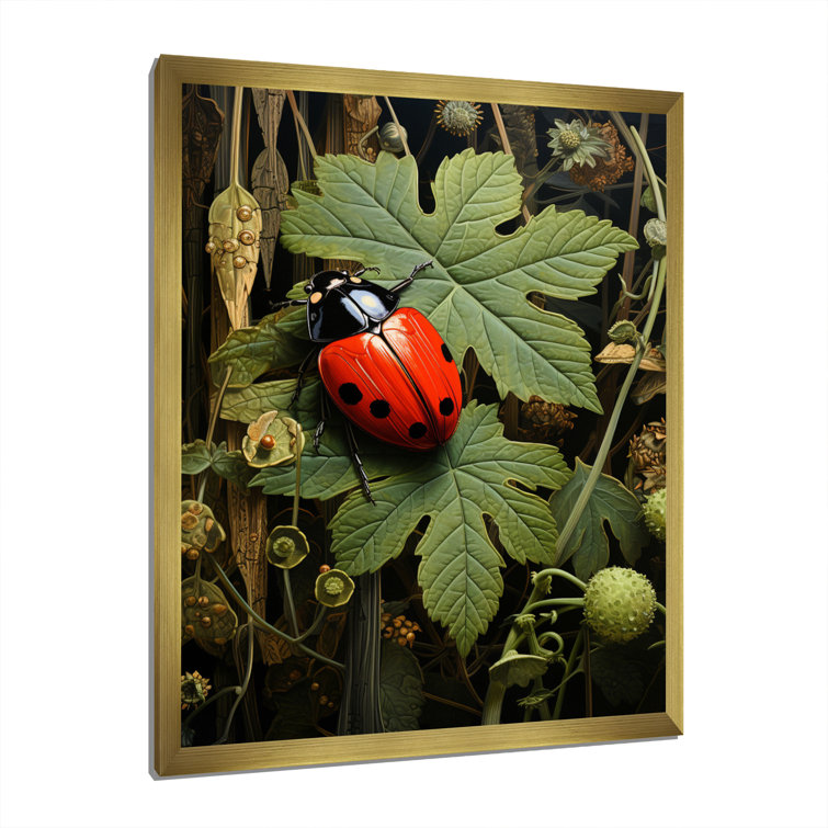 Ebern Designs Ladybug Ladybugs Leisure Framed On Canvas Print - Wayfair ...