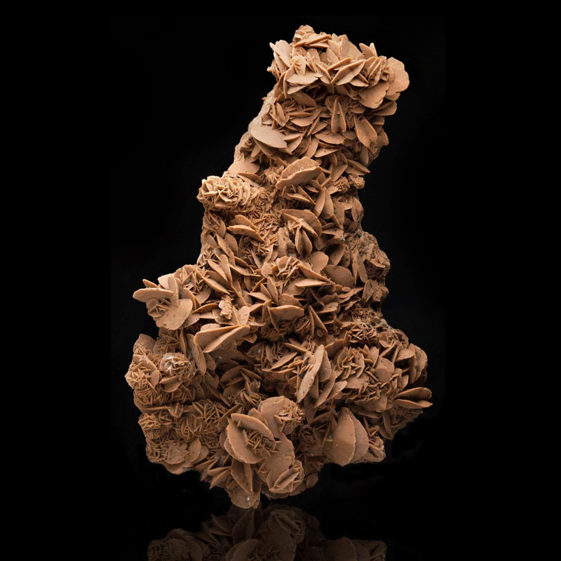 Giant Desert Rose Selenite