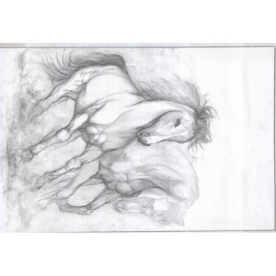 Galloping Horses Sketch 1 Piece Wrapped Canvas Painting