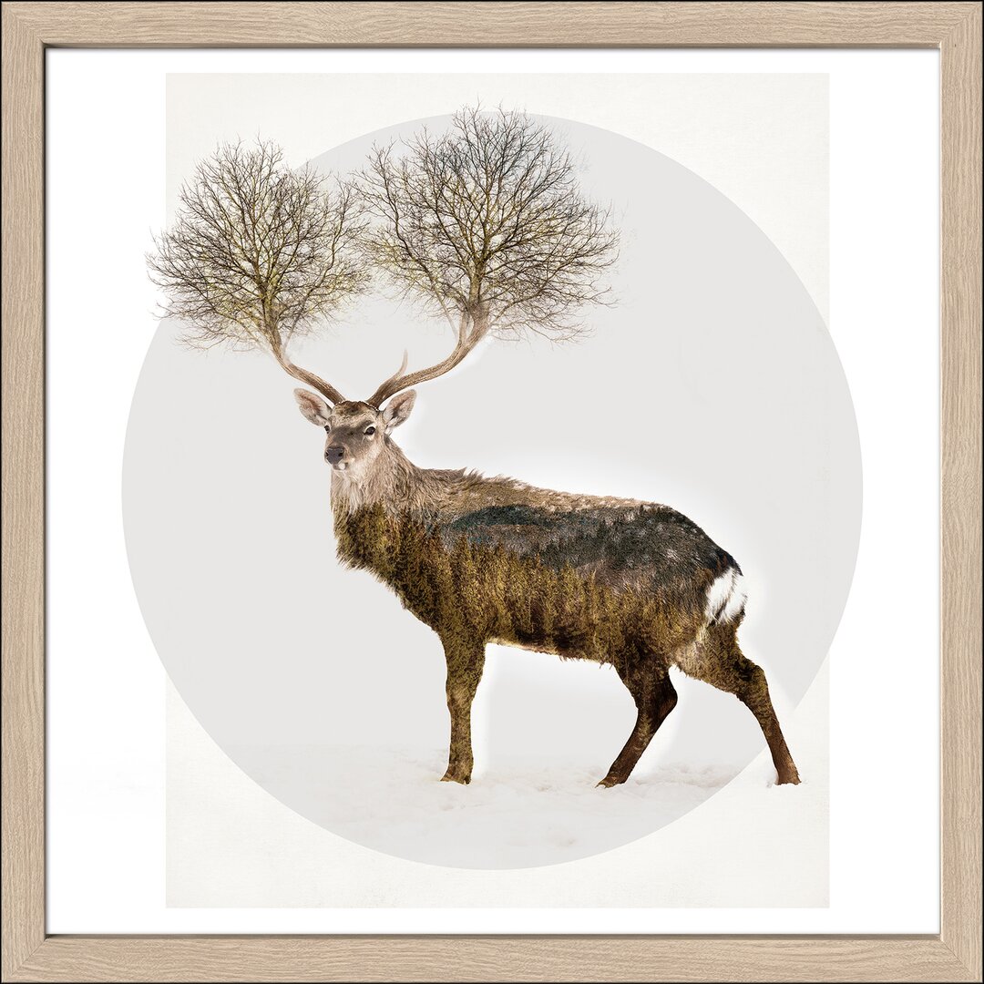 Gerahmtes Poster Deer With Trees