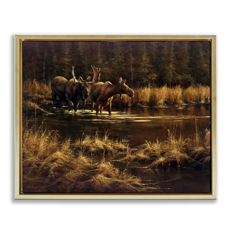 Cadre flottant Moose pair at Stream, conception de Paco Young, H 25 po x l 31 po, Cadre flottant métallique doré