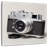 Senne Analog Camera-109203830