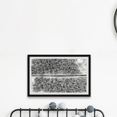 Road Through the Forest 1 Piece Single Picture Frame Wall Art