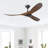 Omaima Ceiling Fan-1037785072