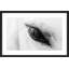 «Trusting Eye» par Marmont Hill - reproduction de photo sur papier encadrée-903529335