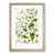 Oak Framed selected