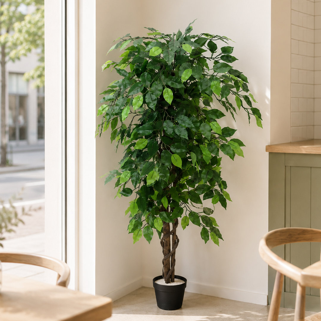 Wayfair UK