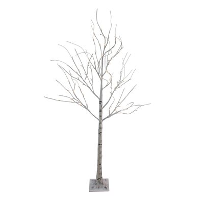 6' Lighted Christmas White Birch Twig Tree Outdoor Decoration - Warm White LED Lights -  Northlight Seasonal, NORTHLIGHT A90269