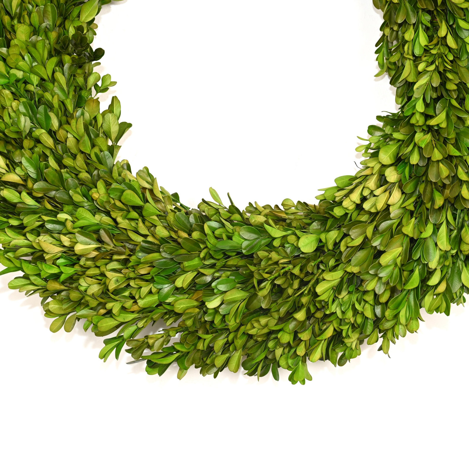19" Handcrafted Boxwood No Holiday Wreath