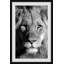 Lion Portrait 1 Piece Painting-1439560009-1439560012