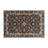 Persian Gray Indoor and Outdoor Area Rug-2012092563
