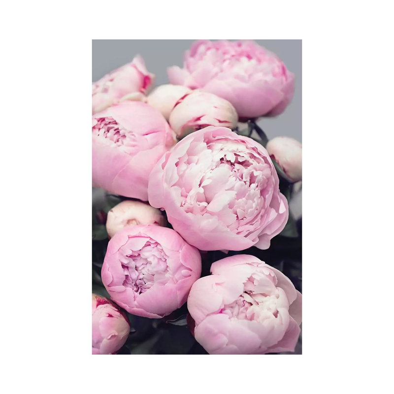 Pink Peonies by Sisi & Seb - Wrapped Canvas Gallery-Wrapped Canvas Giclée, 101.6 cm H x 66.04 cm W x 3.175 cm D