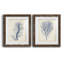 Indigo Coral-1687557495-1687557492-1687523540