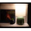 Ceramic Novelty Lamp