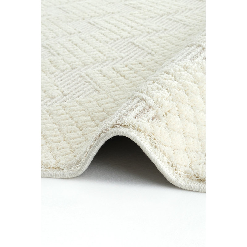 Renlie Machine Made Indoor / Outdoor Area Rug, Runner 3'3.4" x 11'5.8"