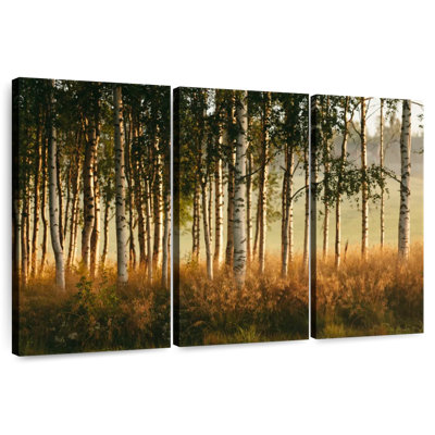 Forêt de bouleaux Harnek Grassy