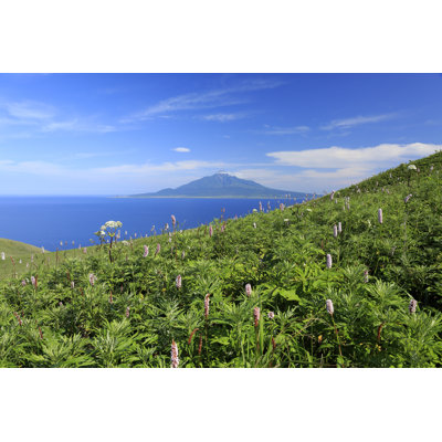 Mt.Rishiri by Kazuto_yossy - Wrapped Canvas Print