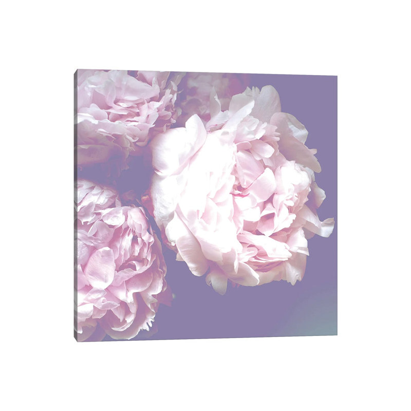 Peony by Grace Digital Art Co - Gallery-Wrapped Canvas Giclée on Canvas, No Frame, 30.48 cm H x 30.48 cm W