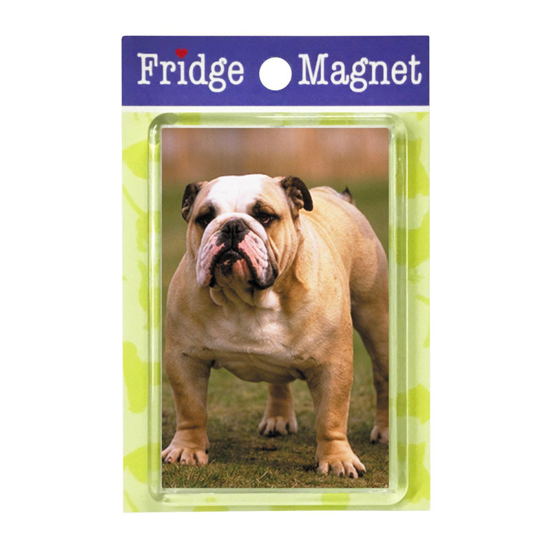 Fridge Magnet