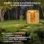 Sauna d'extérieur en cèdre traditionnel pour 4 à 6 personnes avec chaufferette électrique 9kW Backyard Discovery Lennon, contrôle Wi-Fi, lumières DEL