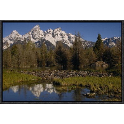 «American Beaver Pond With Dam and Lodge», reproduction de photo sur toile encadrée