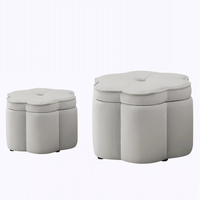 Ensemble de 2 repose-pieds avec rangement, Gris