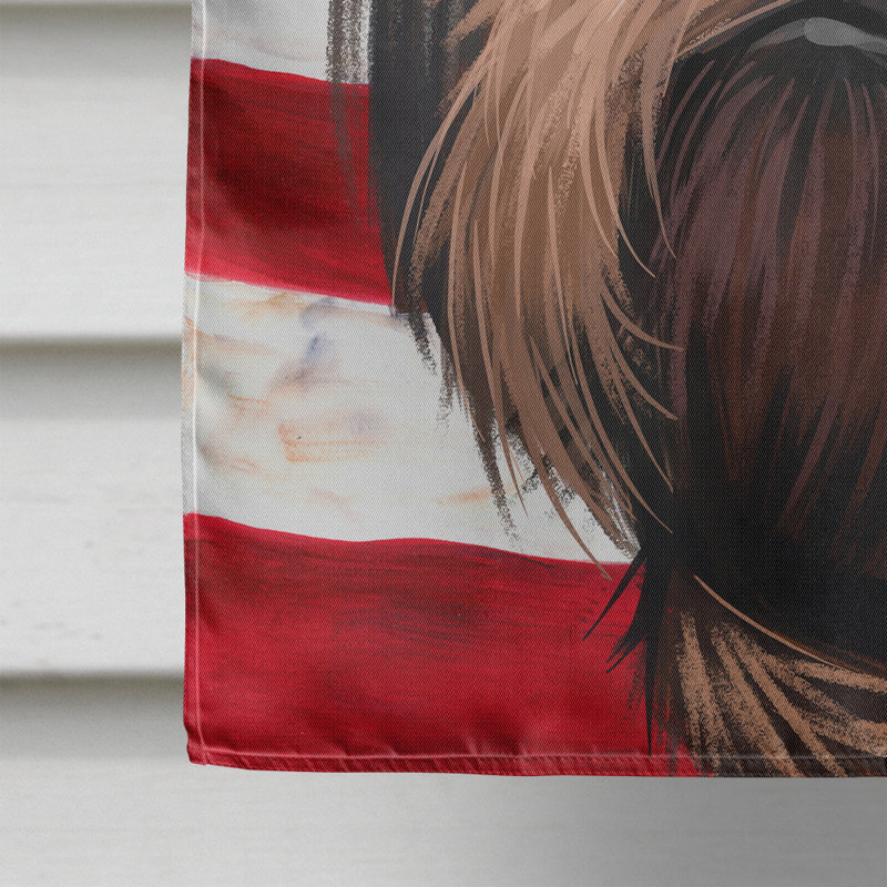 Polyester à 2 côtés 28 x 40 po drapeau maison, Griffon Bruxellois