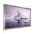 Silver Single Picture Framed