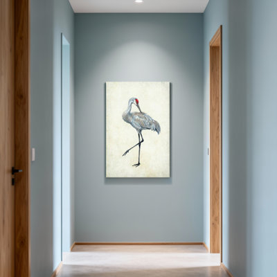 Animals Sandhill Crane Standing On One Leg