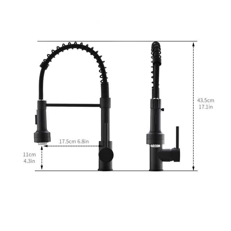 Topcraft Single-Handle Single-Hole Kitchen Faucet