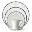 Comet Platinum 5 Piece Bone China Place Setting Set, Service for 1