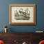 Audubons Louisiana Heron - peinture sur toile encadrée-212537133