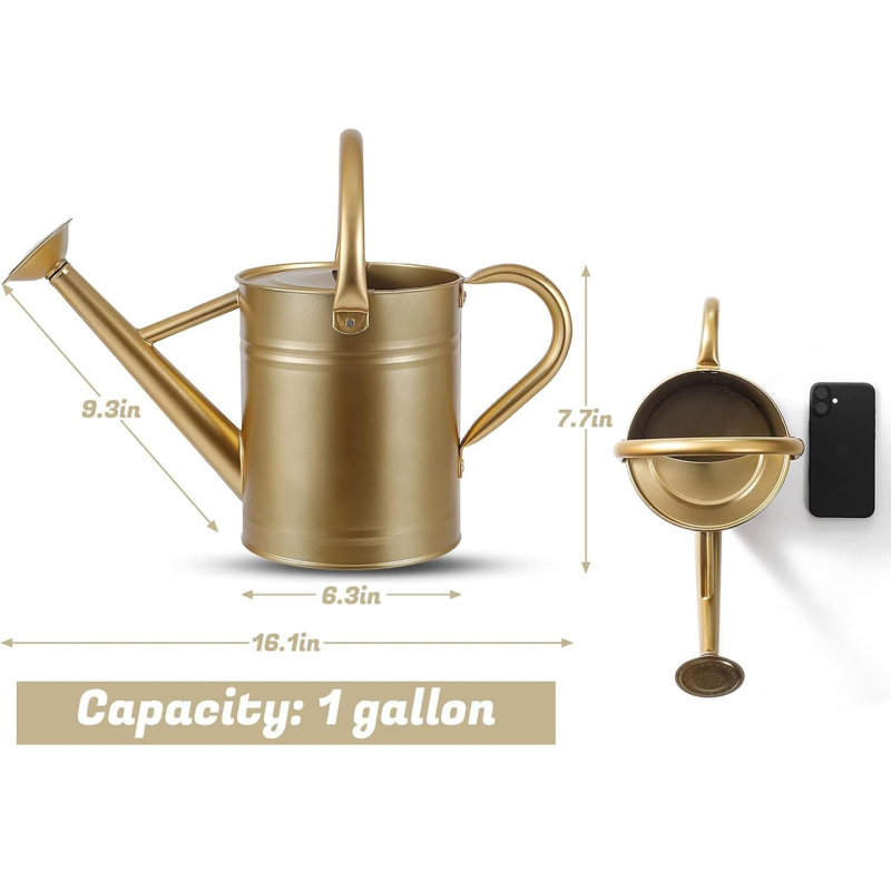 Metal Watering Can with Removable Spout, Galvanized 1 gal., Perfect for Indoor & Outdoor Use (Yellow), Gold