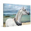 Arabian Sea 1 Piece Wrapped Canvas Wall Art-877070802