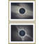 Luna & Total Eclipse Giclee Print by David Phoenix